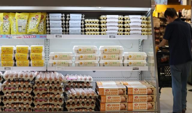 【图片提供 韩联社】