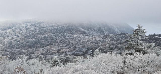 First snow covers Jirisan National Park on Nov. 18, 2025. [Photo provided by the Gyeongnam Office of Jirisan National Park]