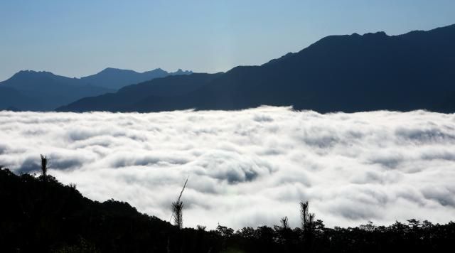 풍경화 같은 설악산 자락 운해 인제연합뉴스 2일 오전 강원 인제군 천리길 중 하나인 설악 마주보길 정상 아래에서 운해와 설악산 자락이 어울려 절경을 이루고 있다 2023102 인제군 제공 재판매 및 DB 금지 taetaeynacokr2023-10-02 133659 저작권자 ⓒ 1980-2023 ㈜연합뉴스 무단 전재 재배포 금지저작권자 ⓒ 1980-2023 ㈜연합뉴스 무단 전재 재배포 금지
