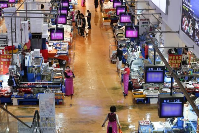 일본 후쿠시마 원전 오염수 방류 다음날인 지난달 25일 서울 동작구 노량진 수산시장 모습 사진연합뉴스