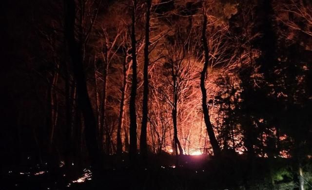 写真連合ニュース