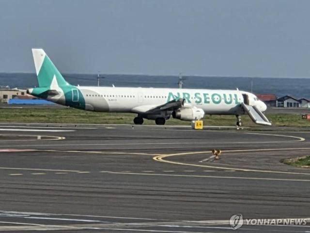 写真＝聯合ニュース