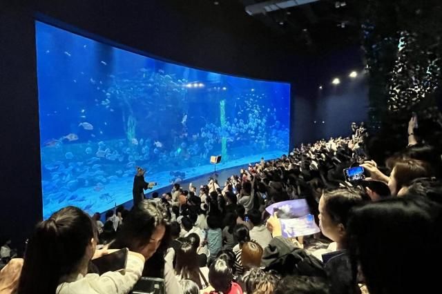 ẢnhLotte World