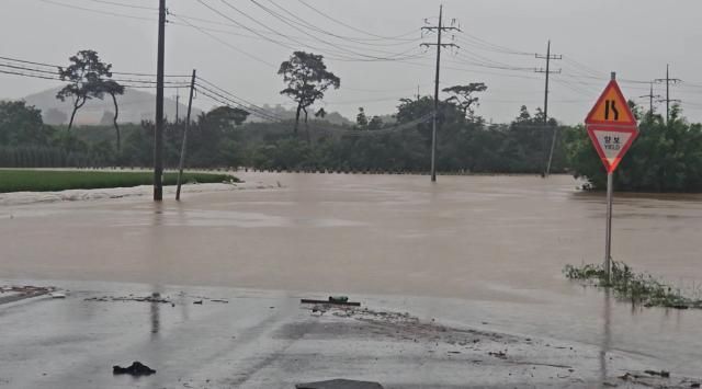 Do mưa lớn cực đoan nước từ suối Cheongji ở thành phố Seosan Nam Chungcheong đã dâng tràn bờ nhấn chìm các con đường và ruộng lúa gần đó ẢnhYonhap News