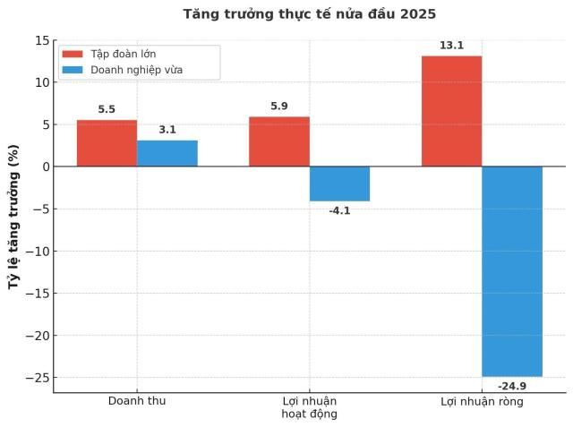 Dữ liệuCEo Score