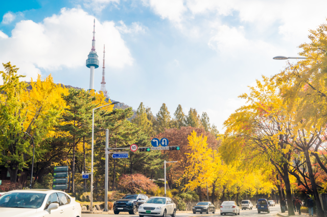 Đường lên tháp N-Seoul Namsan ở Seoul Hàn Quốc vào mùa thu ẢnhGetty Images Bank