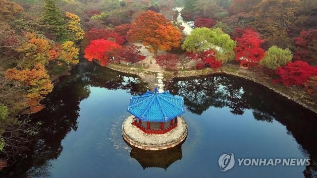 “Như một bức tranh” Ảnh tư liệu Yonhap News