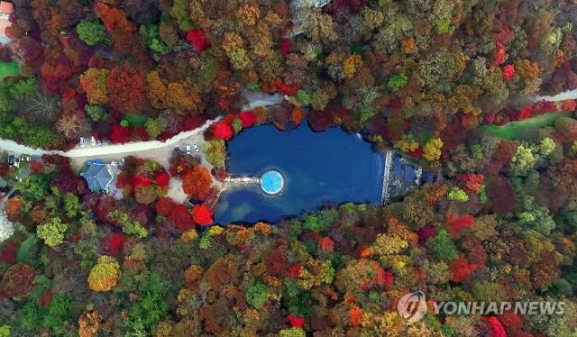 Lá mùa thu trên núi Naejangsan đang dần chuyển màu Ảnh Yonhap News