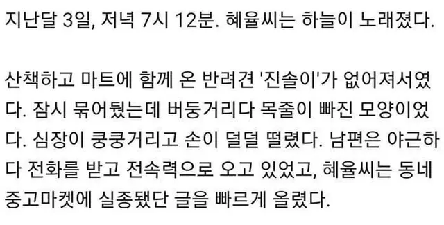 마트에서 개를 잃어버렸다.. | mbong.kr 엠봉