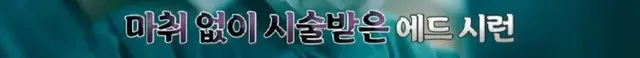 어린시절 머리색과 말 더듬으로 놀림 받던 에드 시런의 구원자 | mbong.kr 엠봉