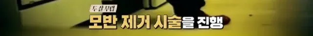 어린시절 머리색과 말 더듬으로 놀림 받던 에드 시런의 구원자 | mbong.kr 엠봉