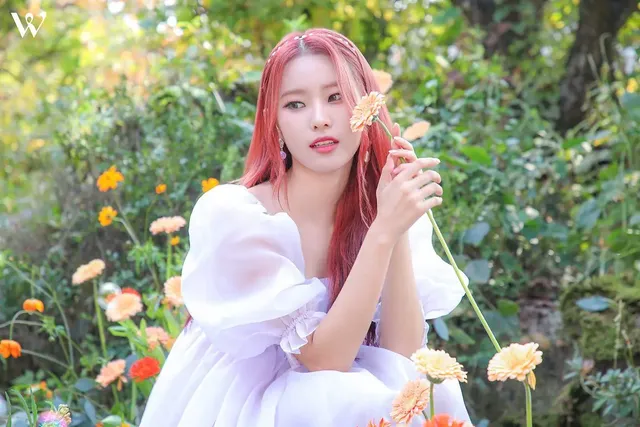 주접 대박이라는 이번 위클리 포스트 | mbong.kr 엠봉