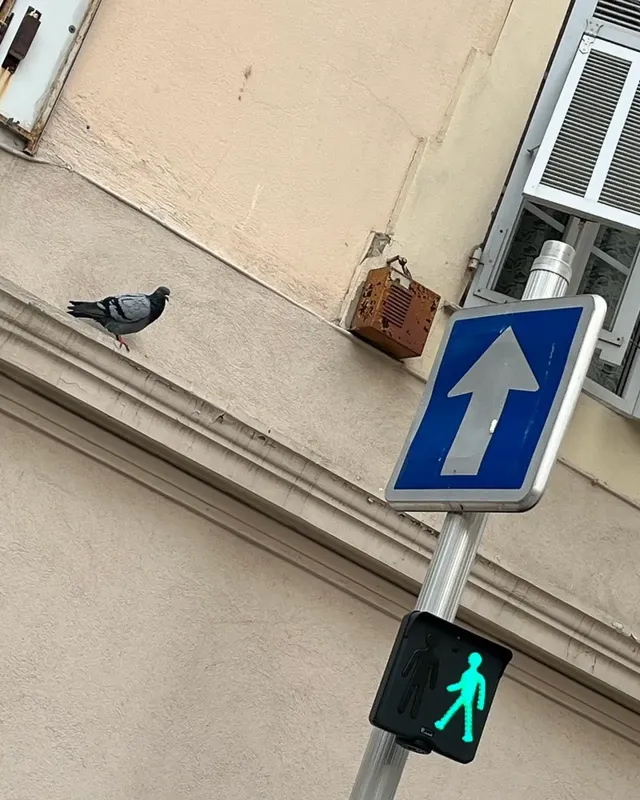 류혜영 한가인 조보아 라미란 *텐트밖은유럽남프랑스 | mbong.kr 엠봉