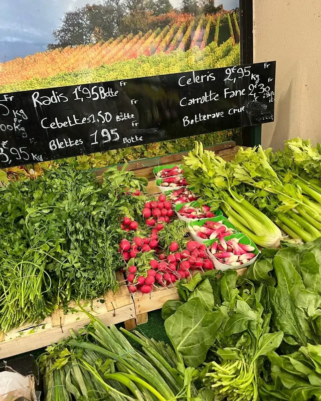 류혜영 한가인 조보아 라미란 *텐트밖은유럽남프랑스 | mbong.kr 엠봉