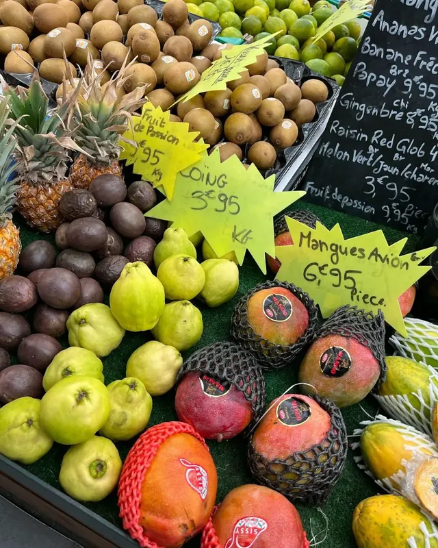 류혜영 한가인 조보아 라미란 *텐트밖은유럽남프랑스 | mbong.kr 엠봉