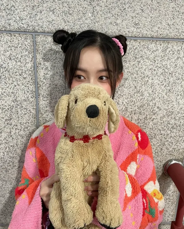 박지후 인가MC | mbong.kr 엠봉