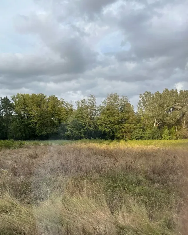 류혜영 한가�� 조보아 라미란 *텐트밖은유럽남프랑스 | mbong.kr 엠봉
