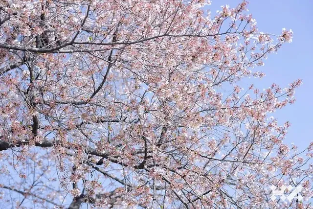 김지원 무물/ 봄의여왕 김지원 | mbong.kr 엠봉