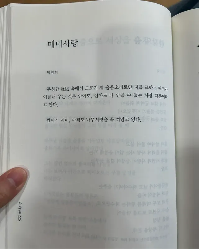 모구리 미나리 째용이 틋스타ㅎㅎ | mbong.kr 엠봉