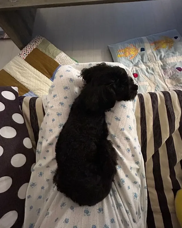 모구리 미나리 째용이 틋스타ㅎㅎ | mbong.kr 엠봉