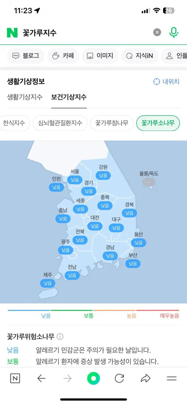 매년 4월~5월 네이버에 꽃가루지수 검색해야하는 이유 | mbong.kr 엠봉