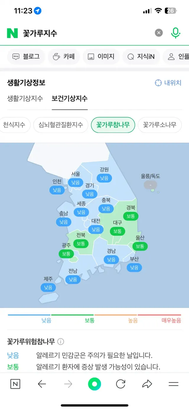 매년 4월~5월 네이버에 꽃가루지수 검색해야하는 이유 | mbong.kr 엠봉