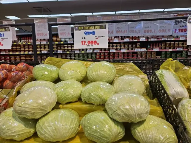 양배추 1통 가격이 ㄷㄷㄷ | mbong.kr 엠봉