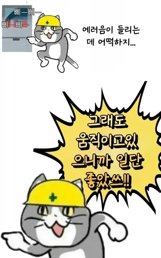 일본 좆소고양이 최신 모음 | mbong.kr 엠봉