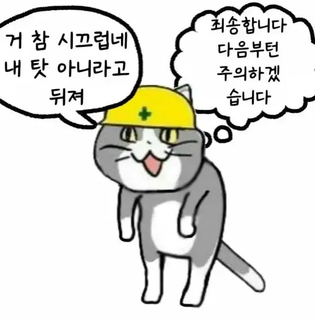 일본 좆소고양이 최신 모음 | mbong.kr 엠봉