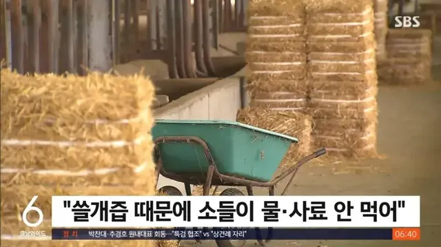 중간유통업자가 한우를 싸게 구입한 방법 | mbong.kr 엠봉