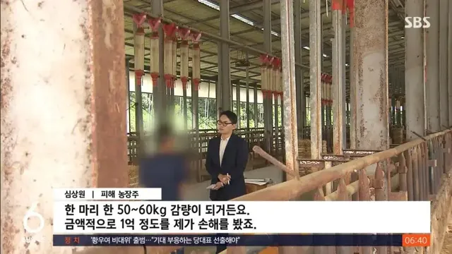 중간유통업자가 한우를 싸게 구입한 방법 | mbong.kr 엠봉