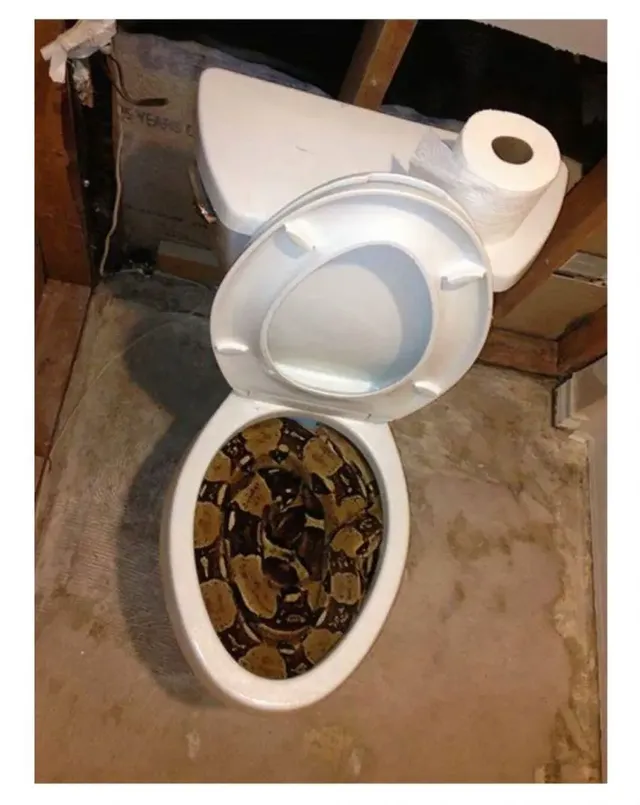 과연 호주는 어떤곳일까? | mbong.kr 엠봉