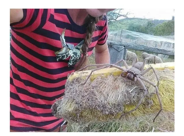 과연 호주는 어떤곳일까? | mbong.kr 엠봉