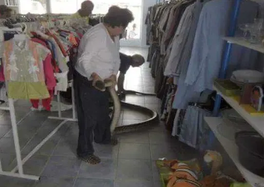 과연 호주는 어떤곳일까? | mbong.kr 엠봉