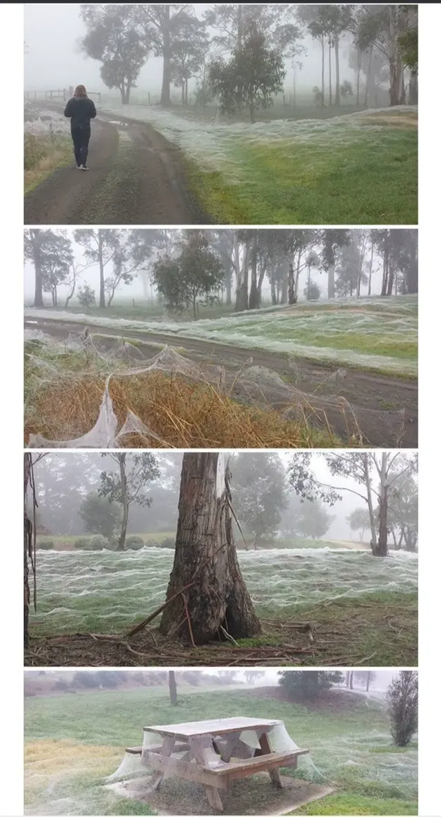 과연 호주는 어떤곳일까? | mbong.kr 엠봉