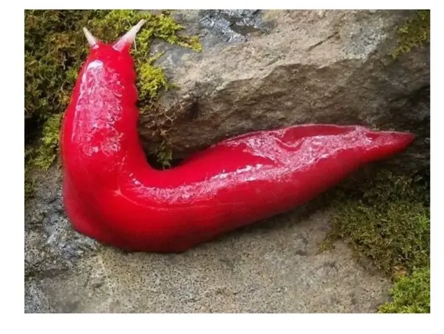 과연 호주는 어떤곳일까? | mbong.kr 엠봉