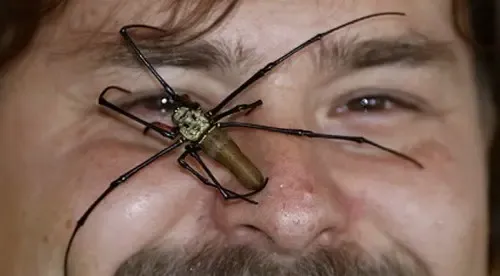 과연 호주는 어떤곳일까? | mbong.kr 엠봉