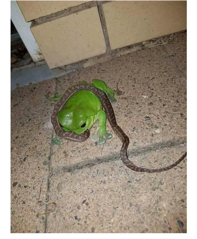 과연 호주는 어떤곳일까? | mbong.kr 엠봉