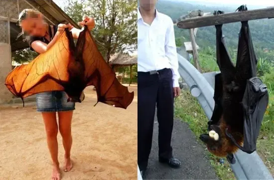 과연 호주는 어떤곳일까? | mbong.kr 엠봉