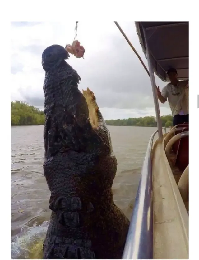 과연 호주는 어떤곳일까? | mbong.kr 엠봉