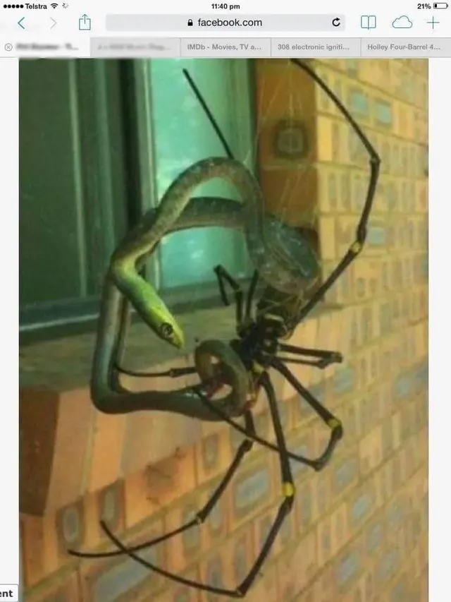 과연 호주는 어떤곳일까? | mbong.kr 엠봉