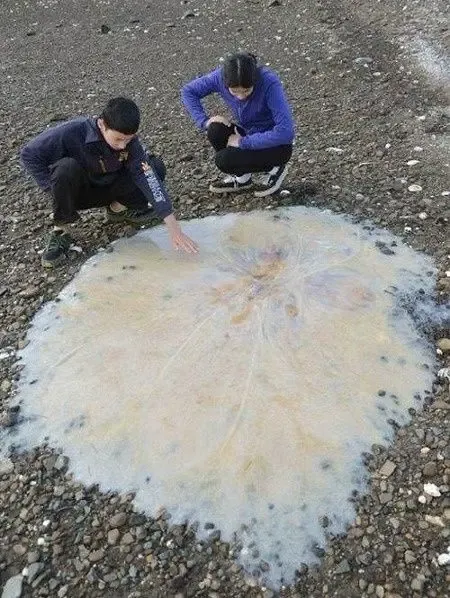 과연 호주는 어떤곳일까? | mbong.kr 엠봉