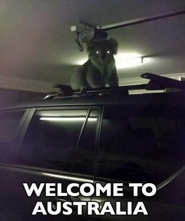 과연 호주는 어떤곳일까? | mbong.kr 엠봉