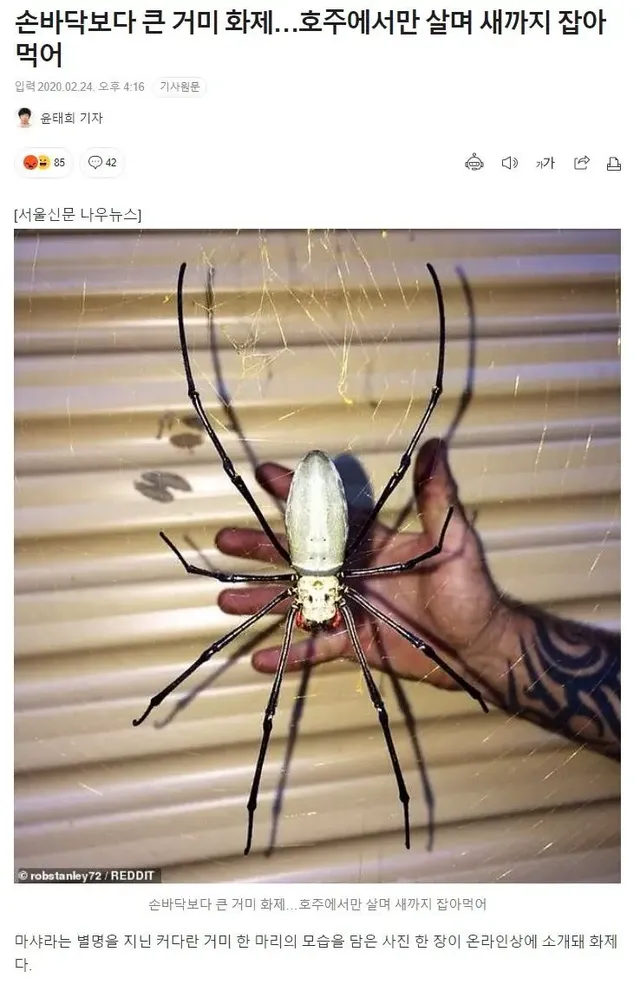 과연 호주는 어떤곳일까? | mbong.kr 엠봉