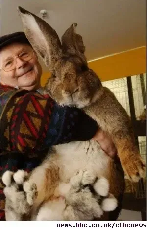 과연 호주는 어떤곳일까? | mbong.kr 엠봉