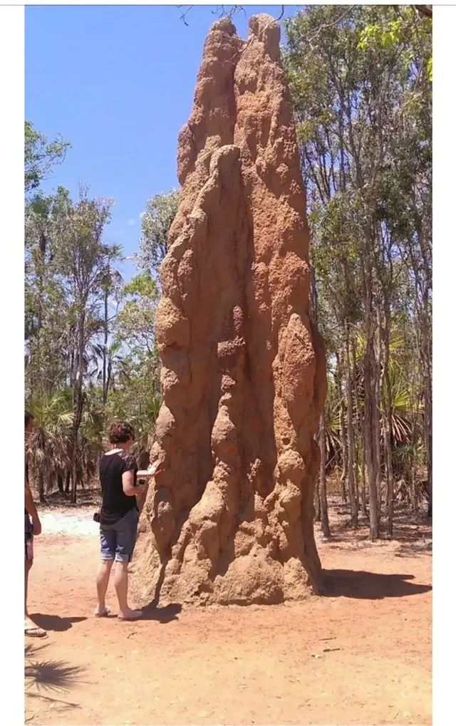 과연 호주는 어떤곳일까? | mbong.kr 엠봉