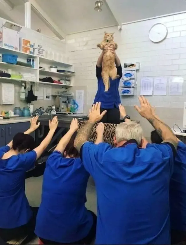 고양이 집사들 부적짤 