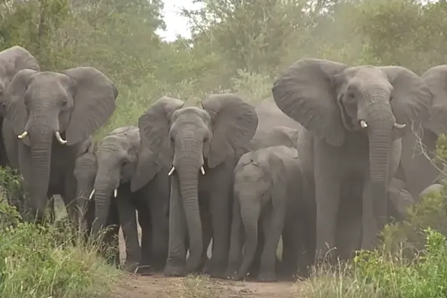도시가 너무 무거워 가라앉고 있는 뉴욕 | mbong.kr 엠봉