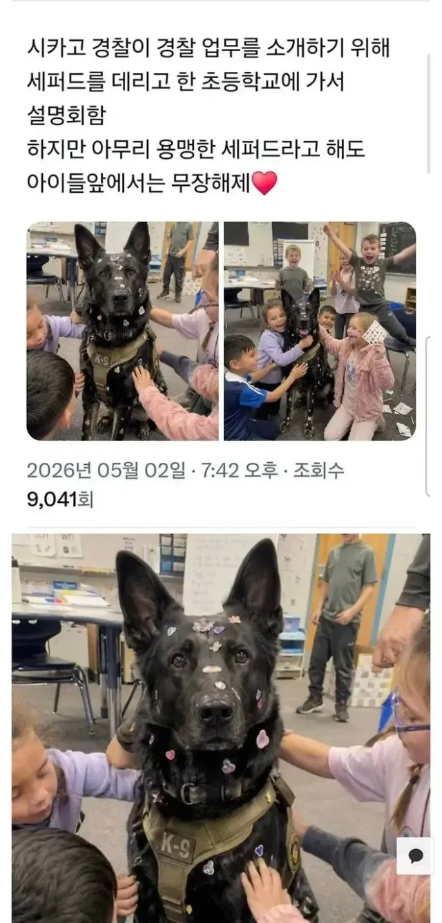 초등학교에 간 경찰견의 대굴욕