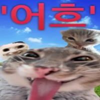 003_20261010234233_edNW0fAFmg.jpg